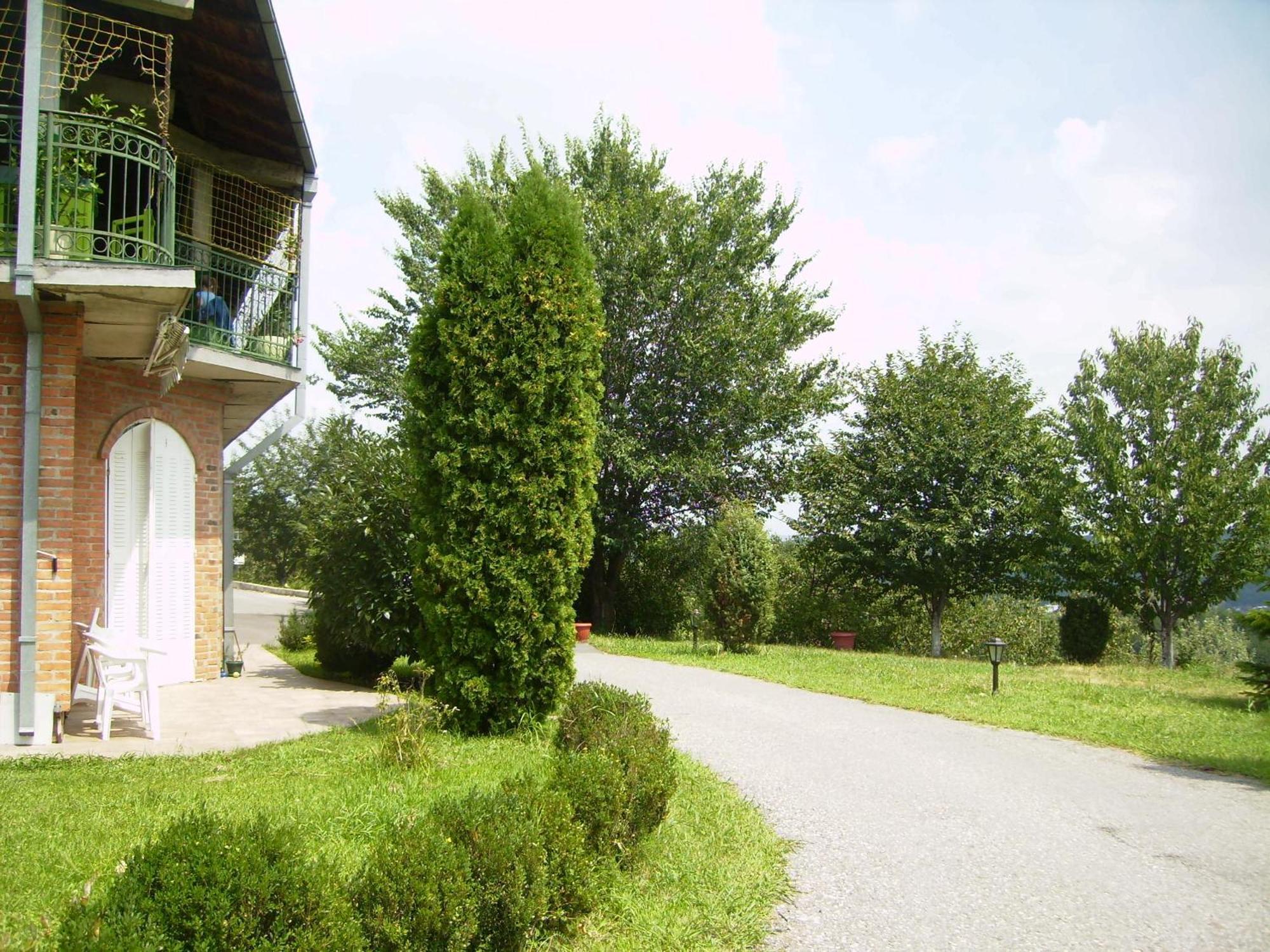 Villa Nevenka Rooms Bělehrad Exteriér fotografie